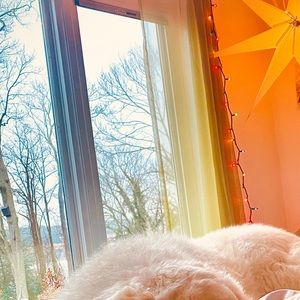 Meet your Posher, Brianne